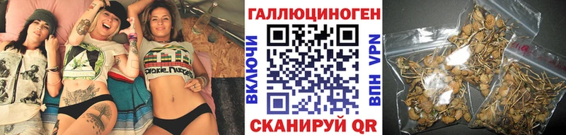 Галлюциногенные грибы GOLDEN TEACHER  купить  цена  Малмыж 